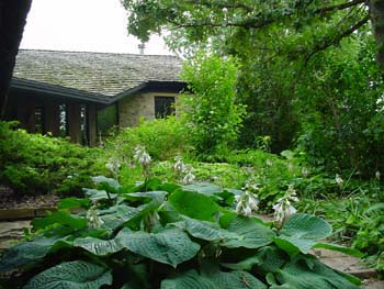 DSC01140