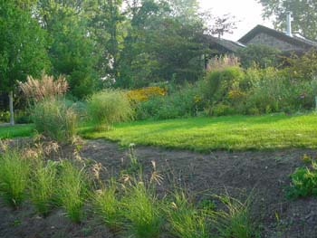 DSC01195