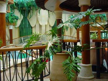 DSC01251