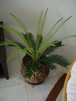 30_DSC01480