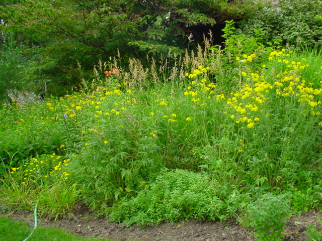 DSC01020.JPG