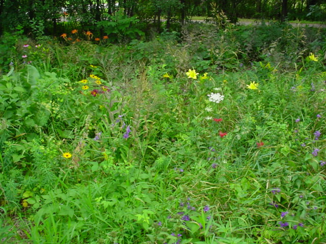 DSC01021.JPG